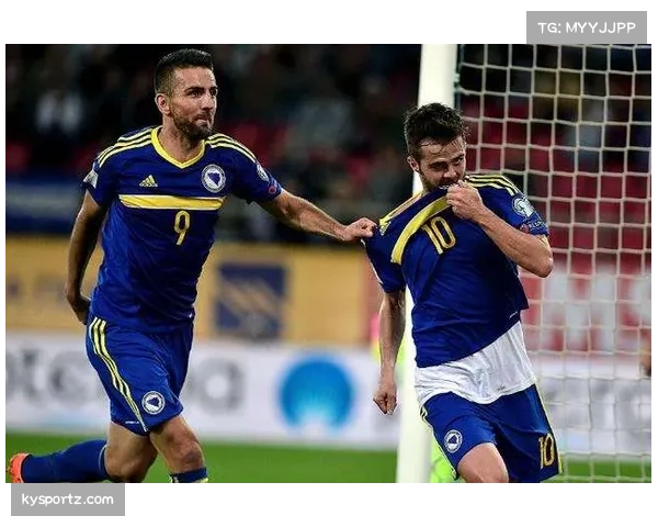 波黑客场战平奥地利 小组第二成绩已值得肯定